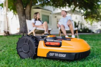 Strategies for an Energy Efficient Landscape